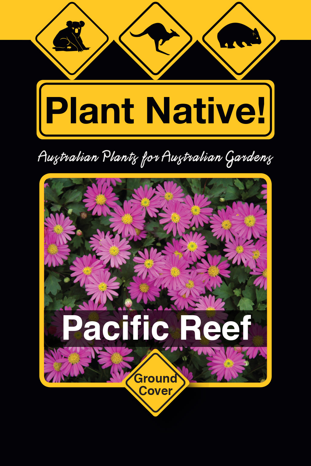 Paciﬁc Reef - Plant Native!