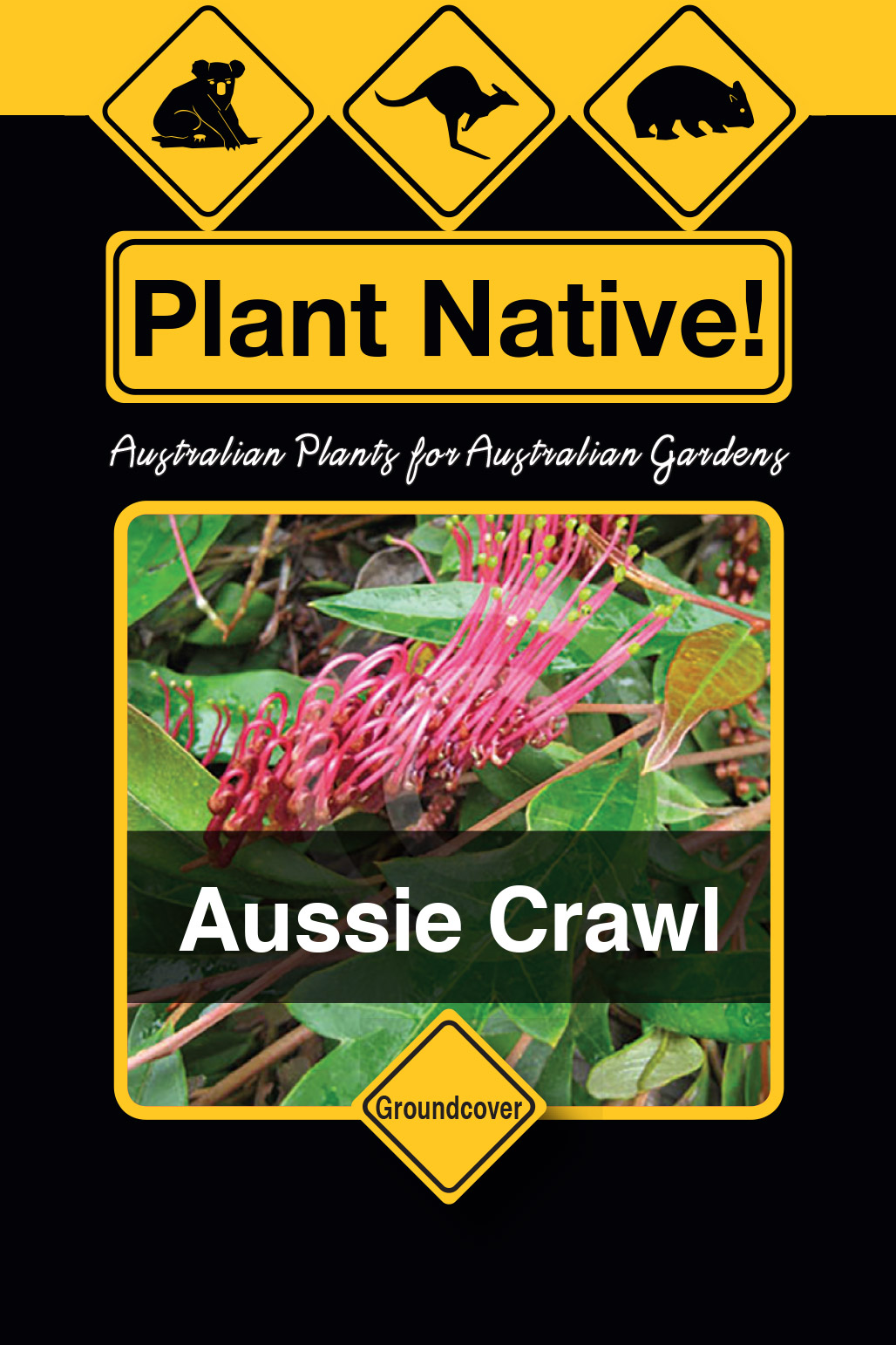 Aussie Crawl - Plant Native!