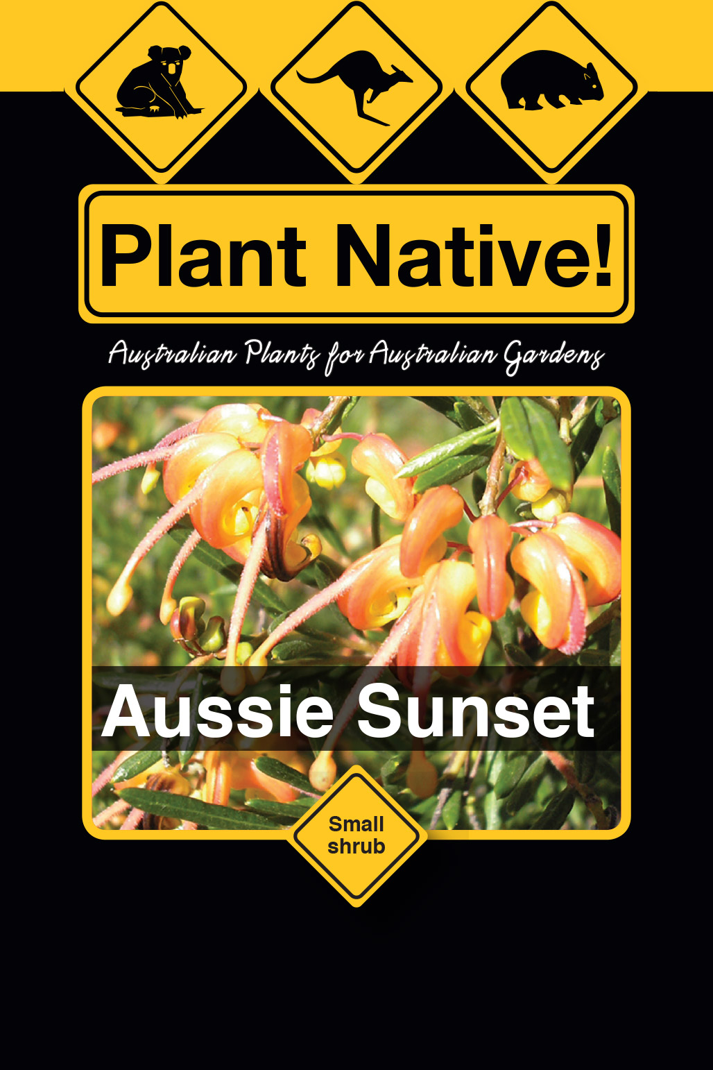 Aussie Sunset - Plant Native!