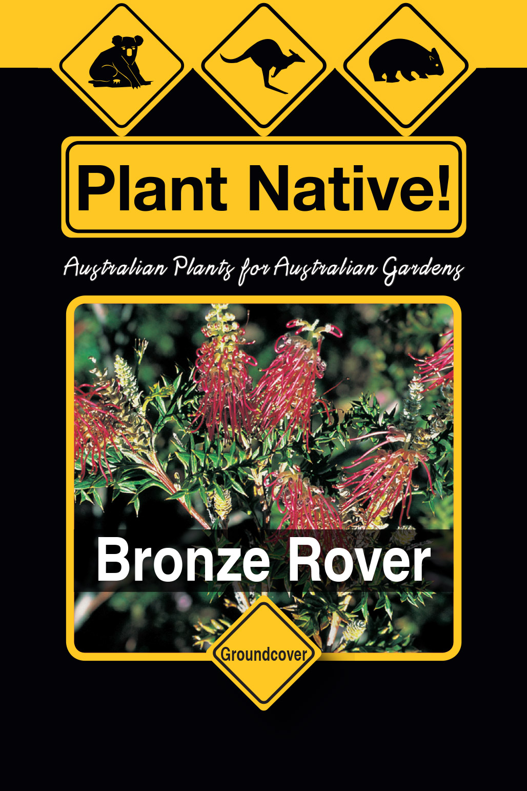 Bronze Rover - Plant Native!