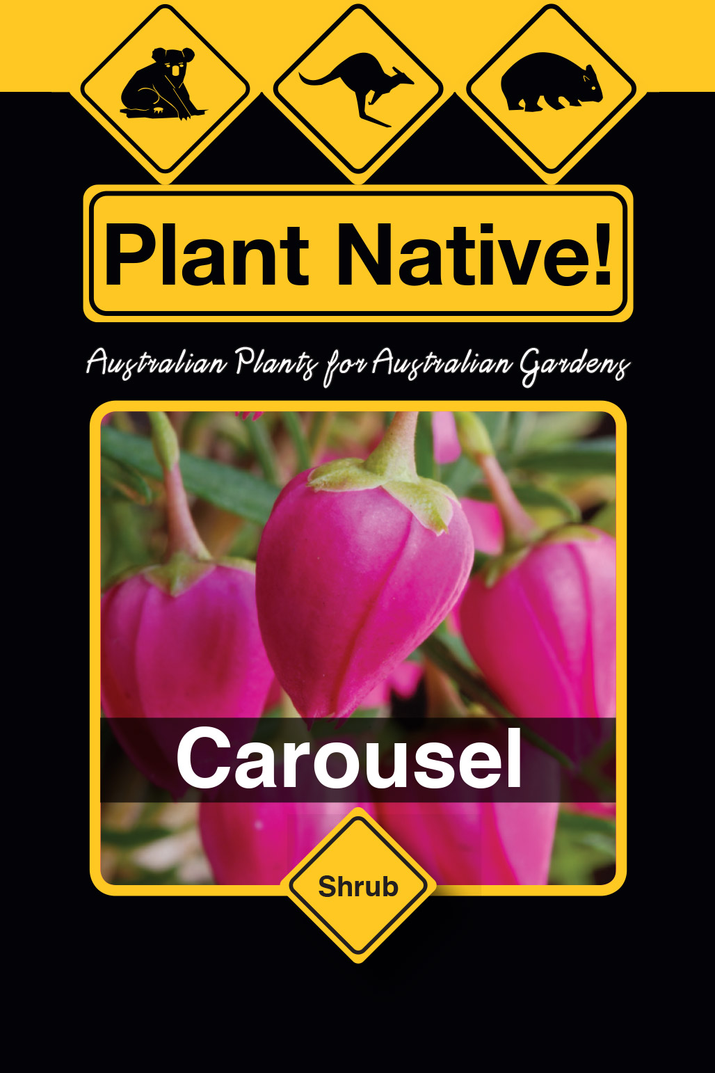 Carousel - Plant Native!