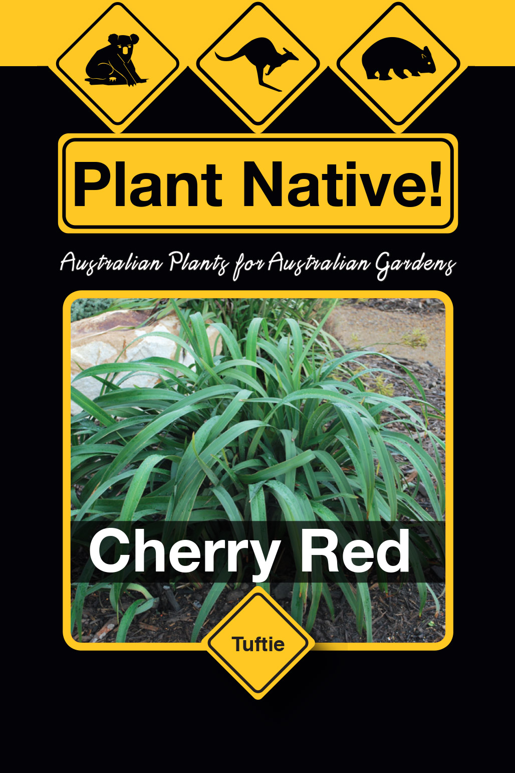 Cherry Red - Plant Native!