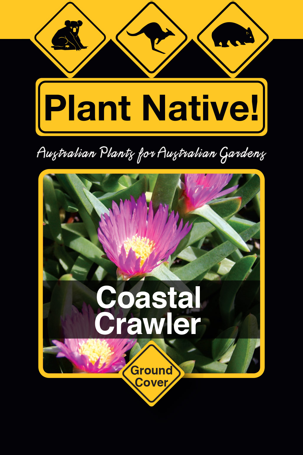 Coastal Crawler - Plant Native!