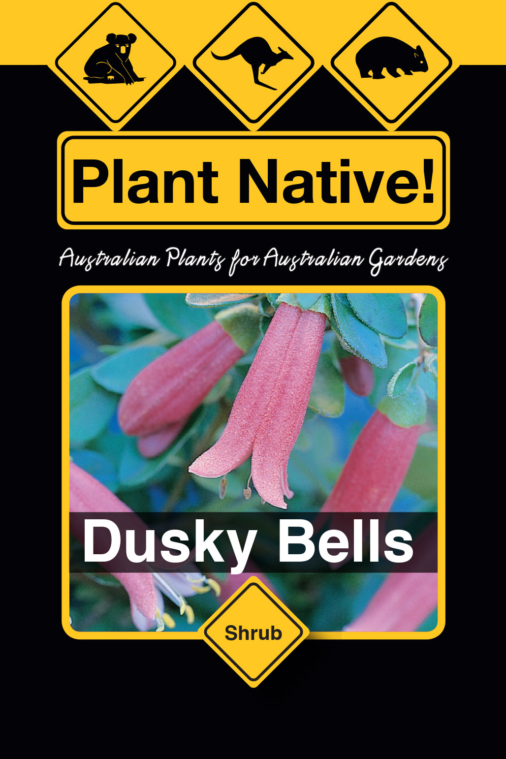 Dusky Bells - Plant Native!
