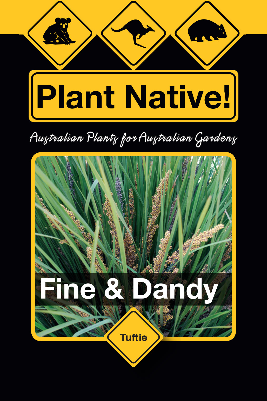 Fine & Dandy - Plant Native! Fine & Dandy - Plant Native!