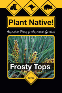 Frosty Tops - Tuftie Range by Plant Native!