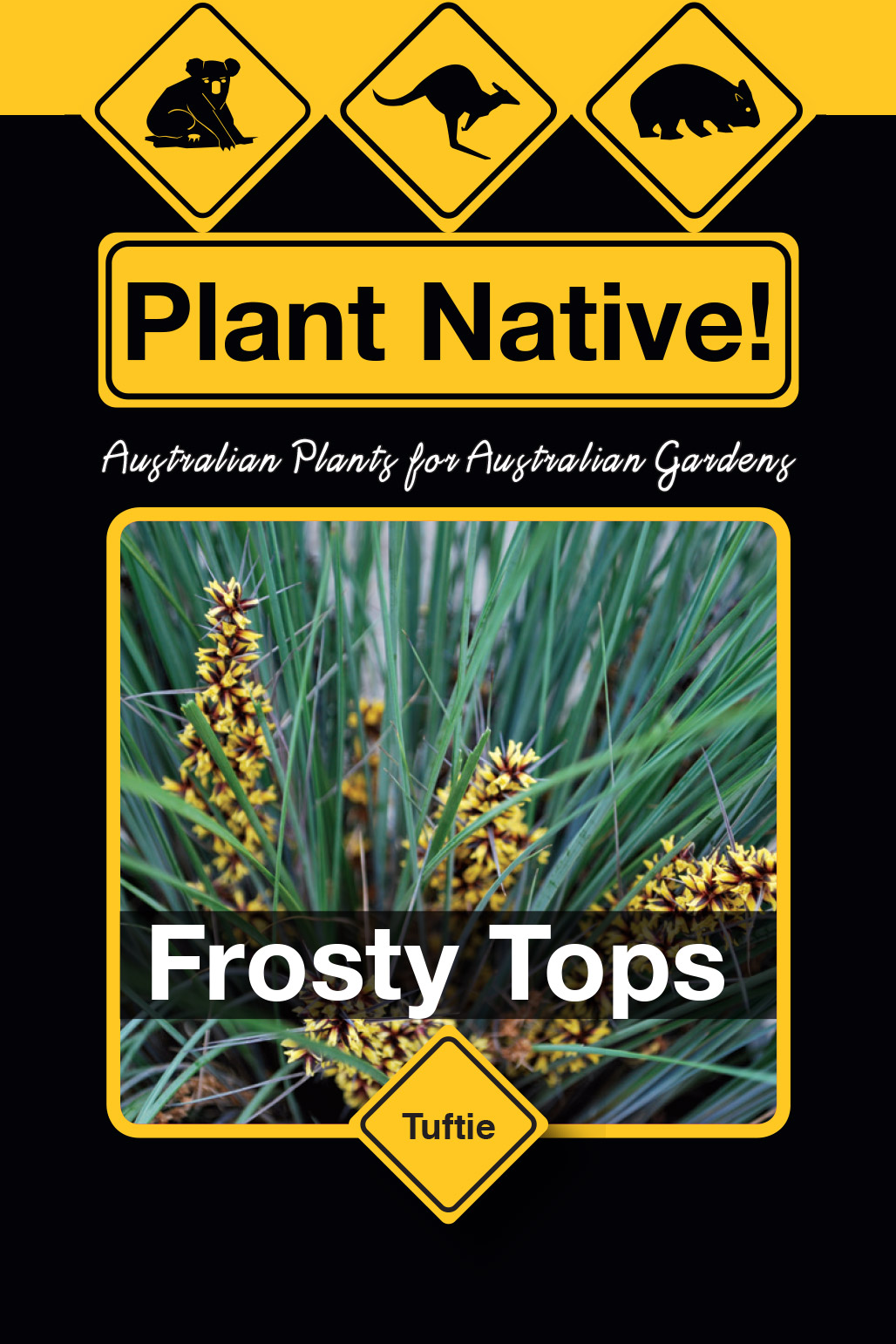 Frosty Tops - Plant Native!