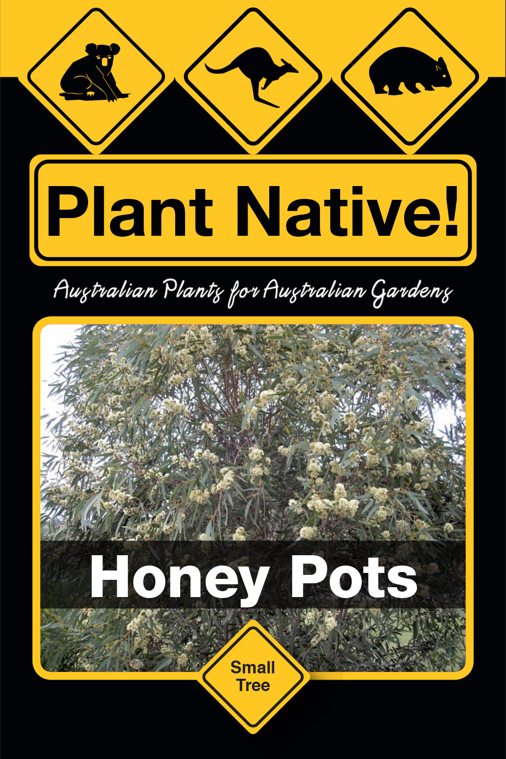 Honey Pots - Plant Native!