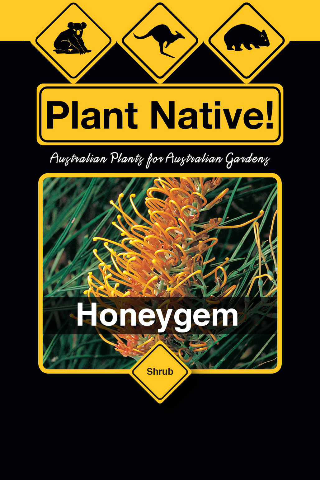 Honeygem - Plant Native!