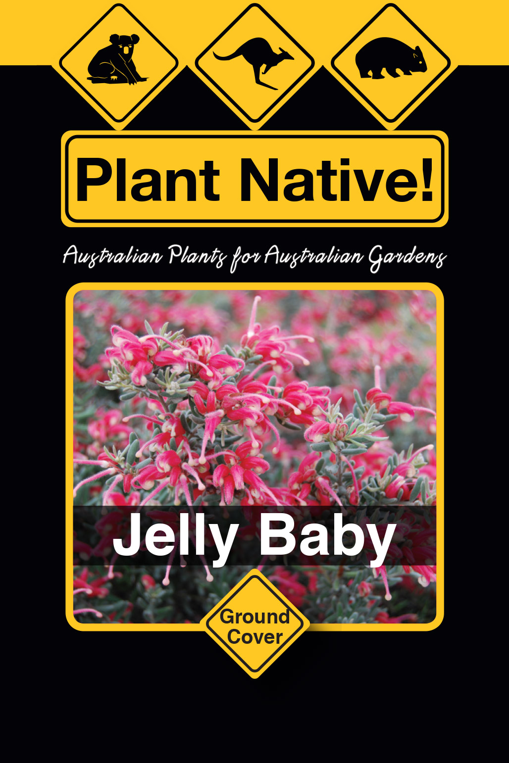 Jelly Baby - Plant Native!
