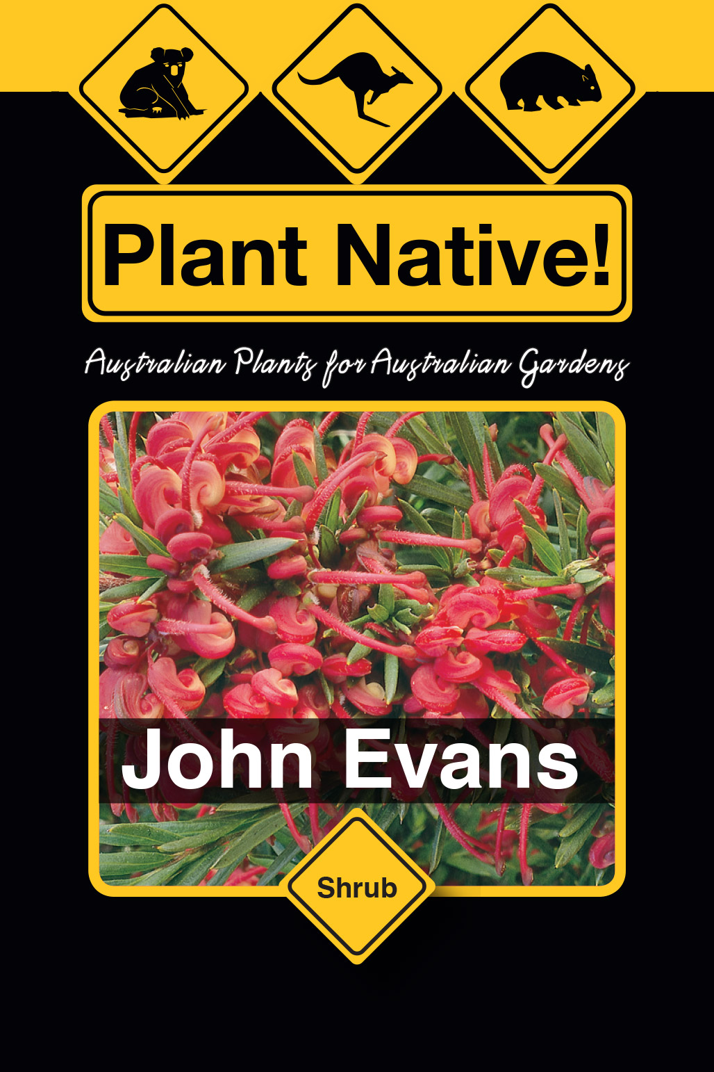John Evans - Plant Native!
