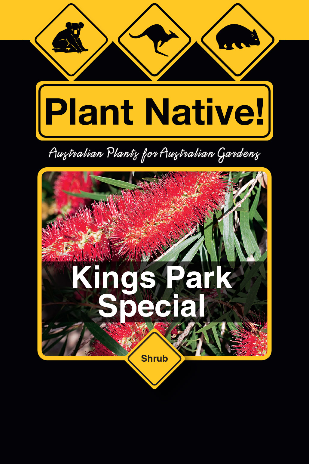 Kings Park Special - Plant Native!