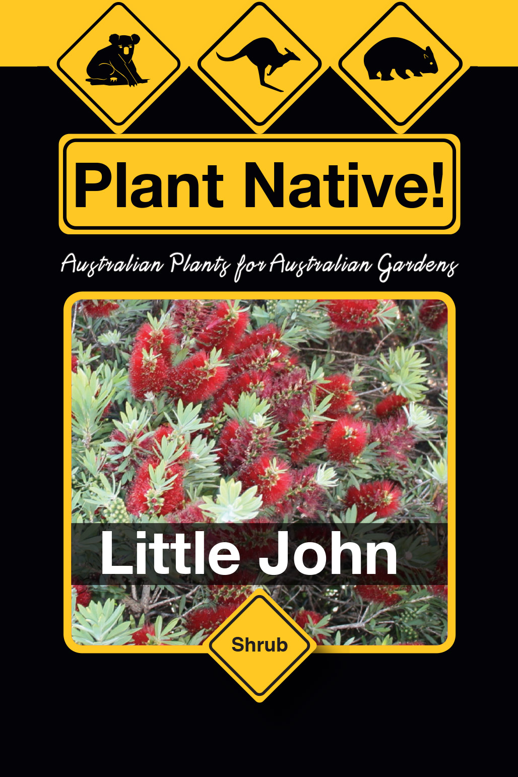 Little John - Plant Native!