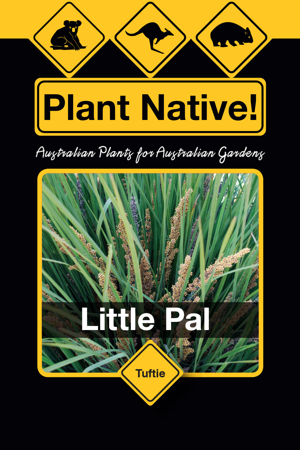 Little Pal - Plant Native!