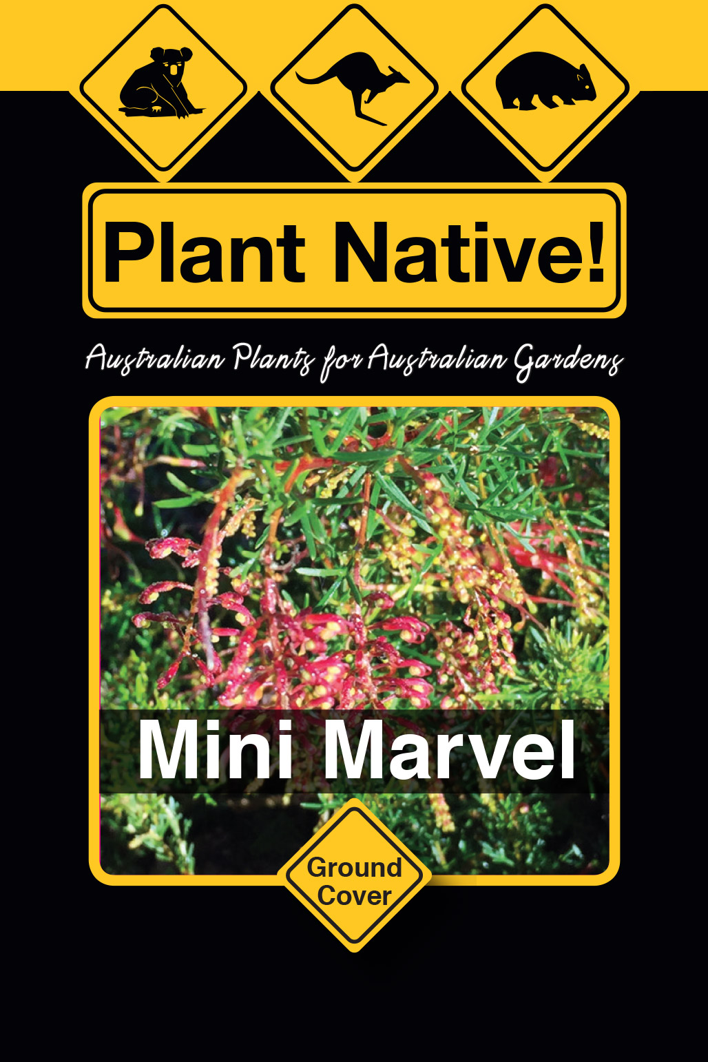Mini Marvel - Plant Native!