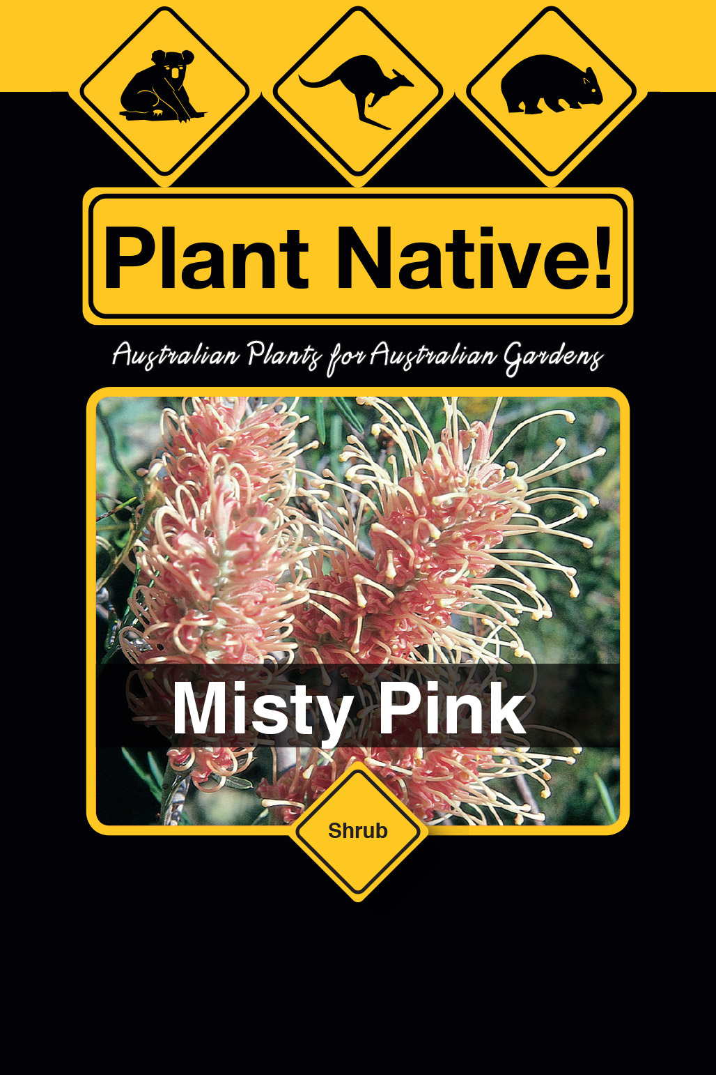Misty Pink - Plant Native!