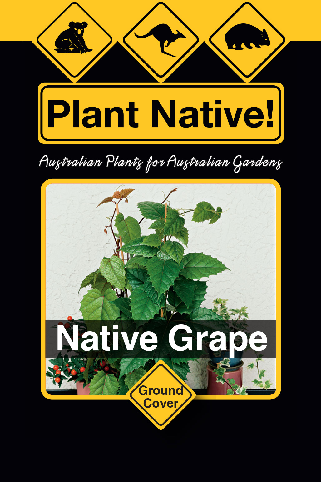 Native Grape - Plant Native!