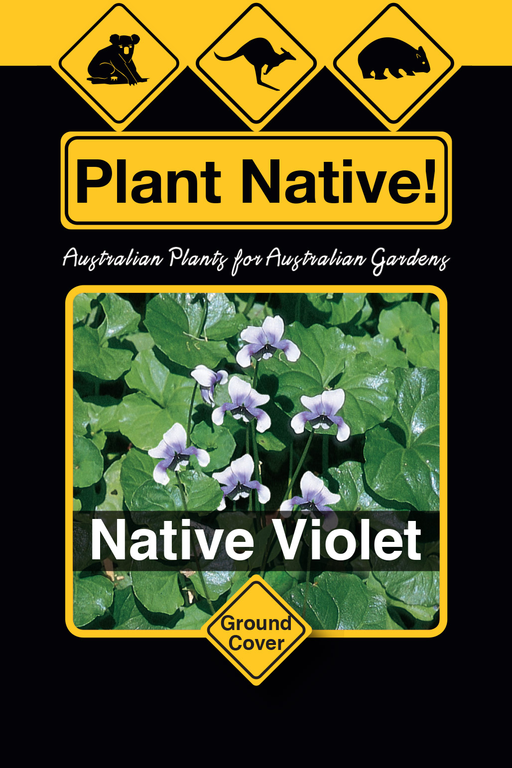 Native Violet - Plant Native!