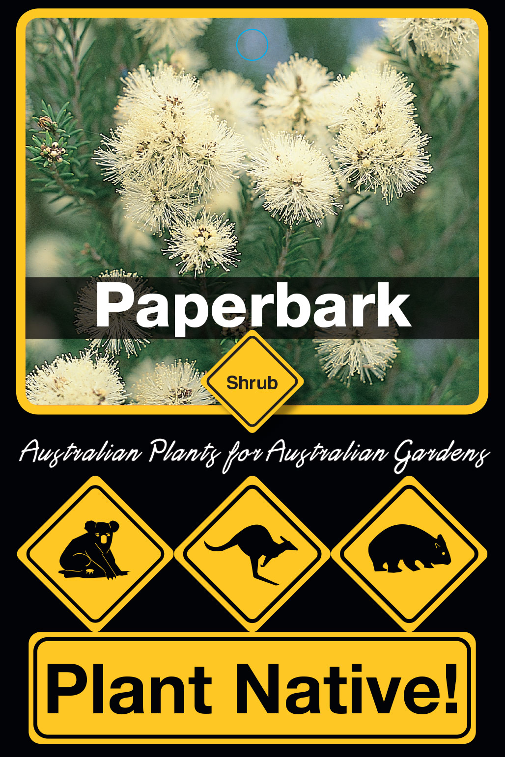 Paperbark - Plant Native!
