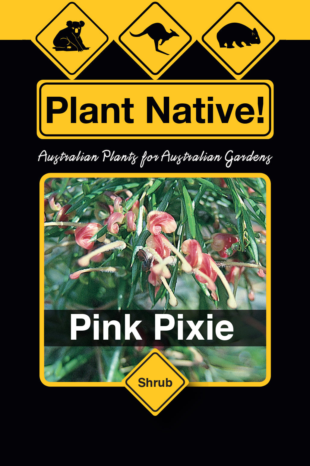 Pink Pixie - Plant Native!