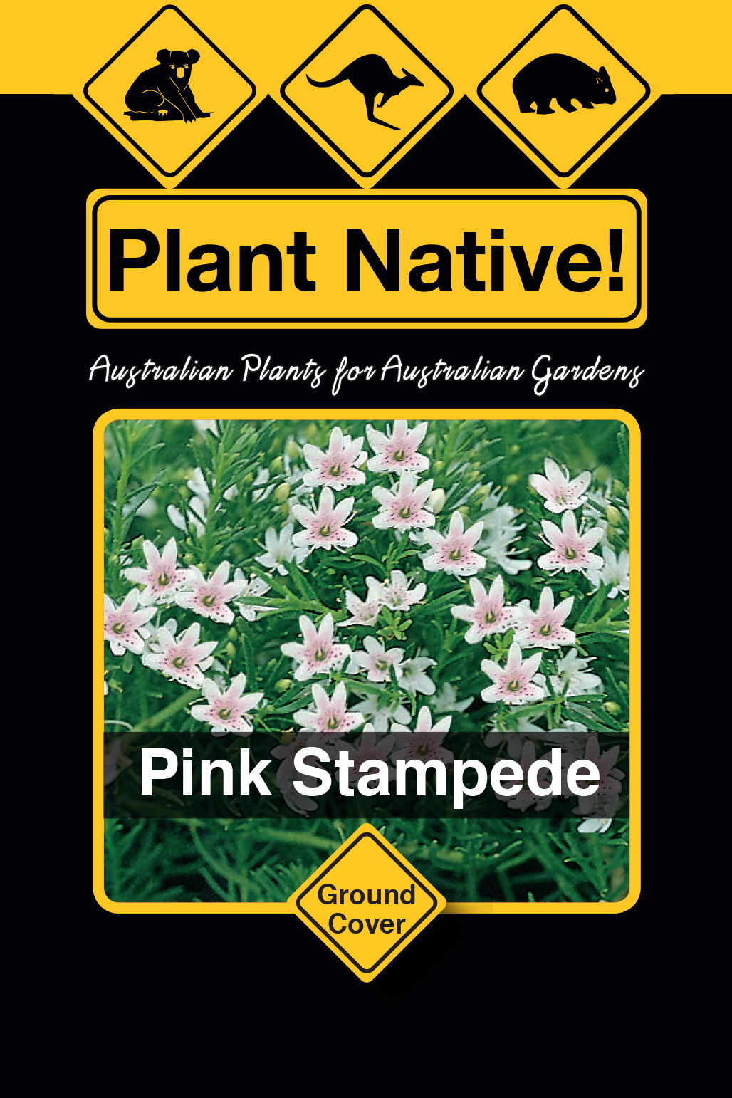 Pink Stampede - Plant Native!