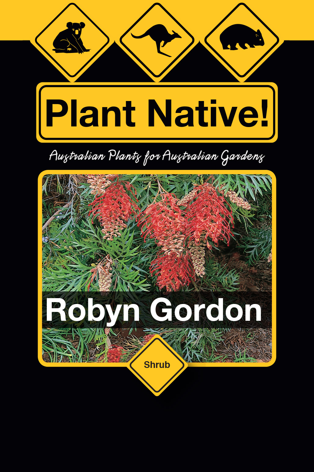 Robyn Gordon - Plant Native!
