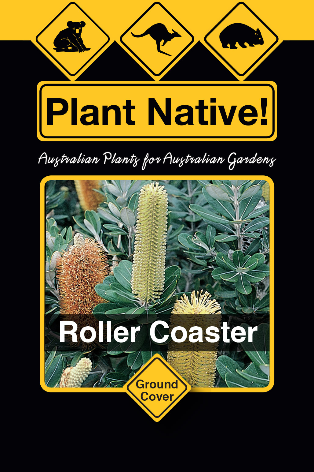 Roller Coaster - Plant Native!