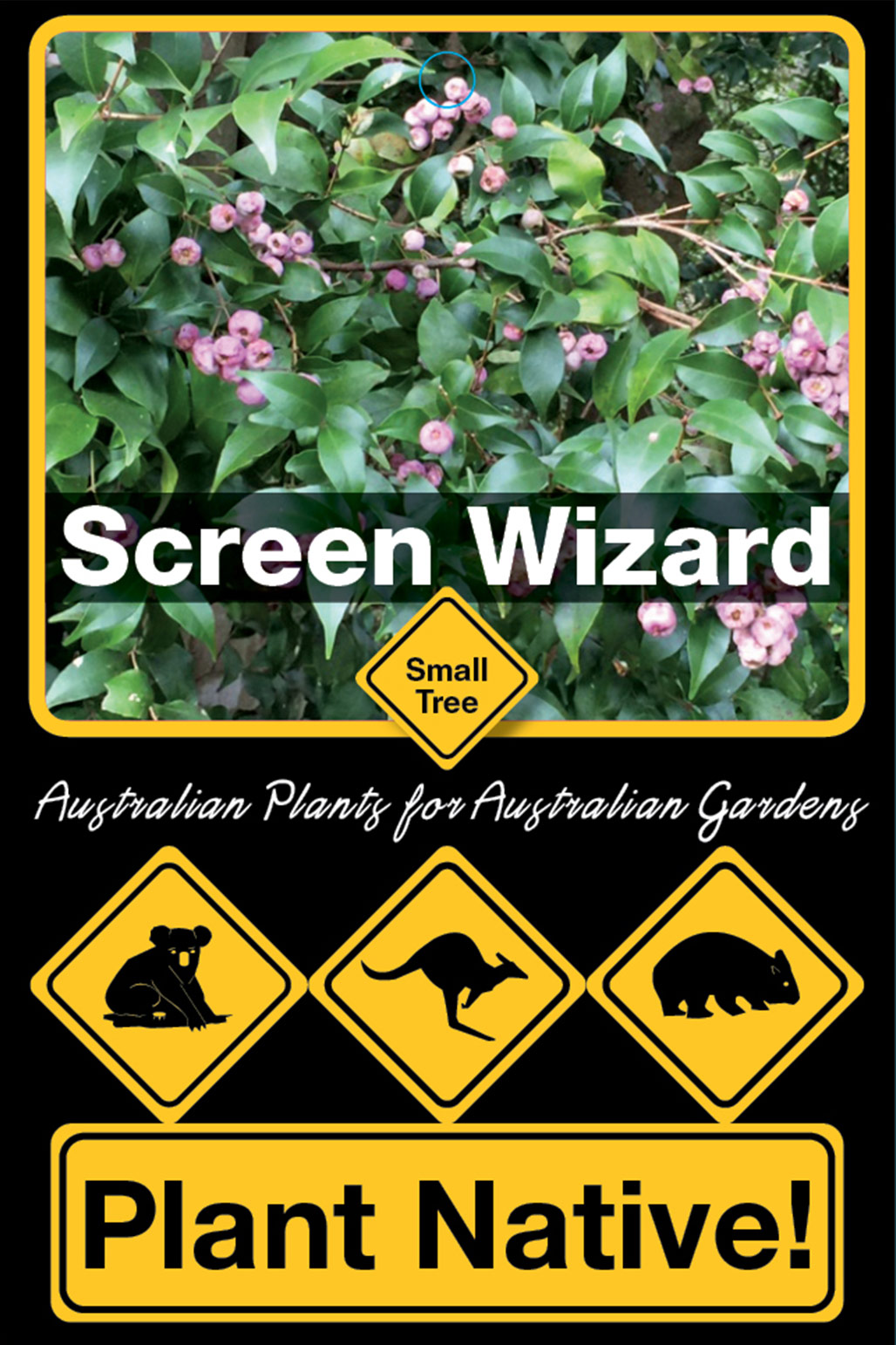 Screen Wizard - Plant Native!