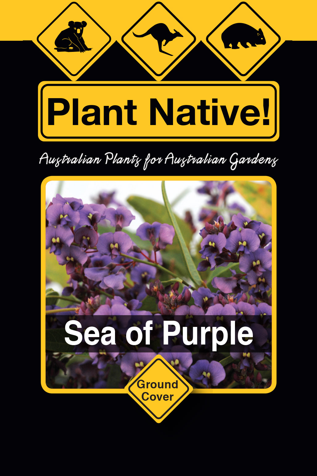 Sea of Purple - Plant Native!