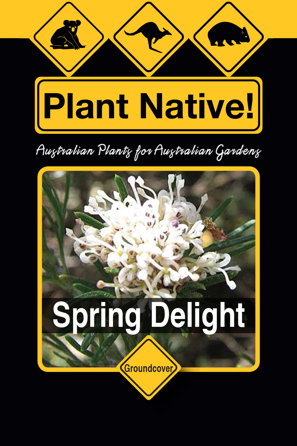 Spring Delight - Plant Native!
