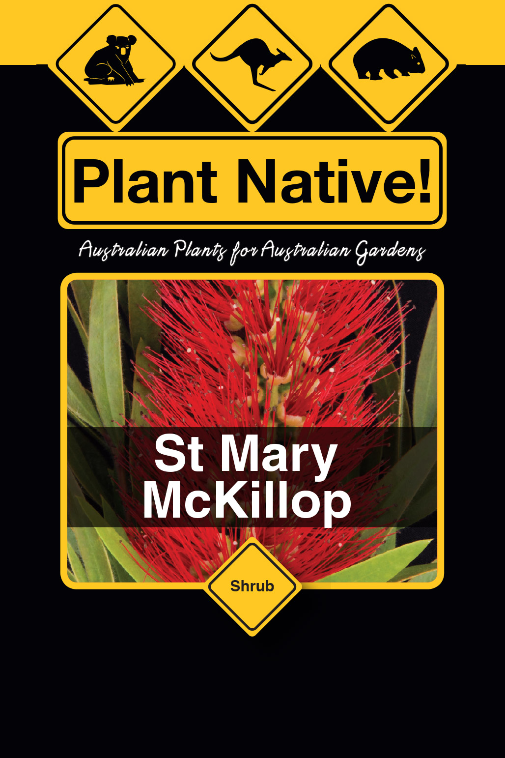 St Mary McKillop - Plant Native!