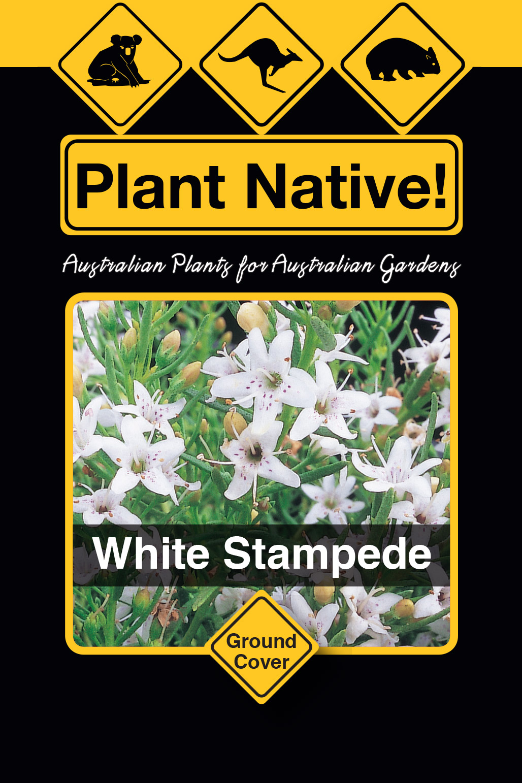 White Stampede - Plant Native!