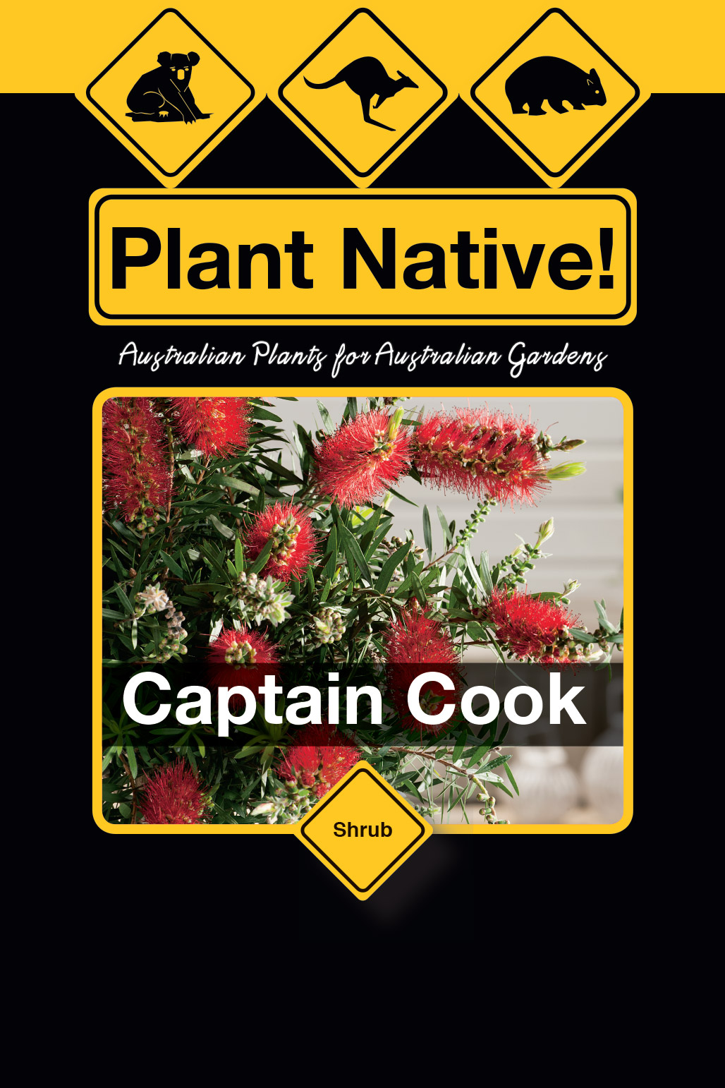 Captain Cook - Plant Native!