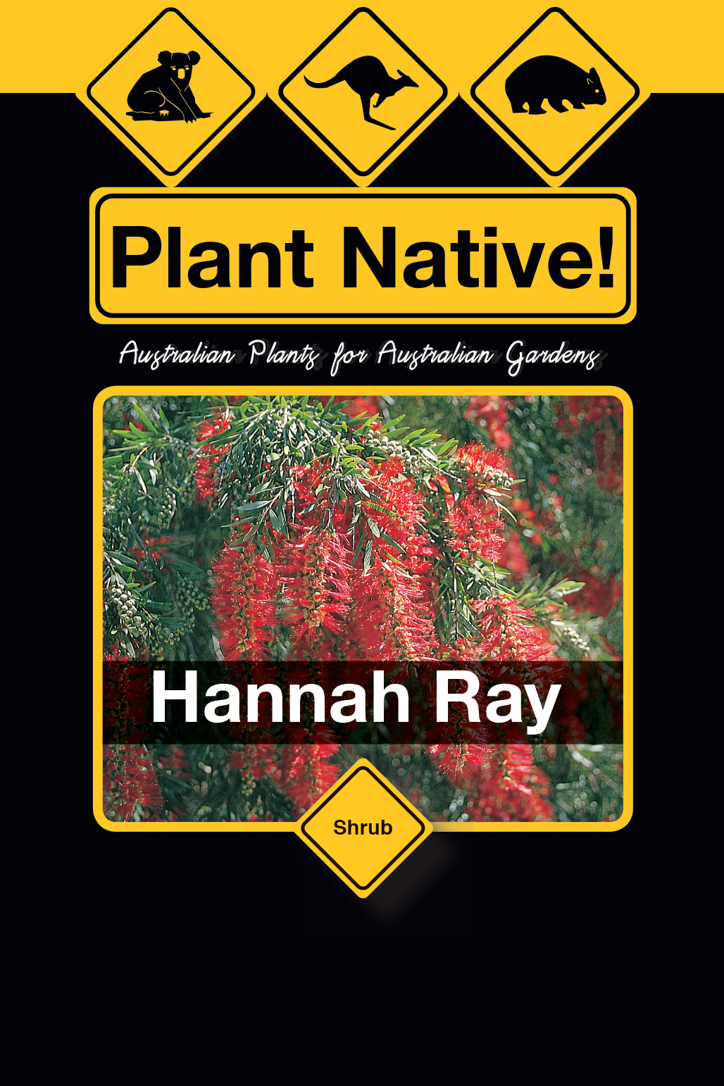Hannah Ray - Plant Native!