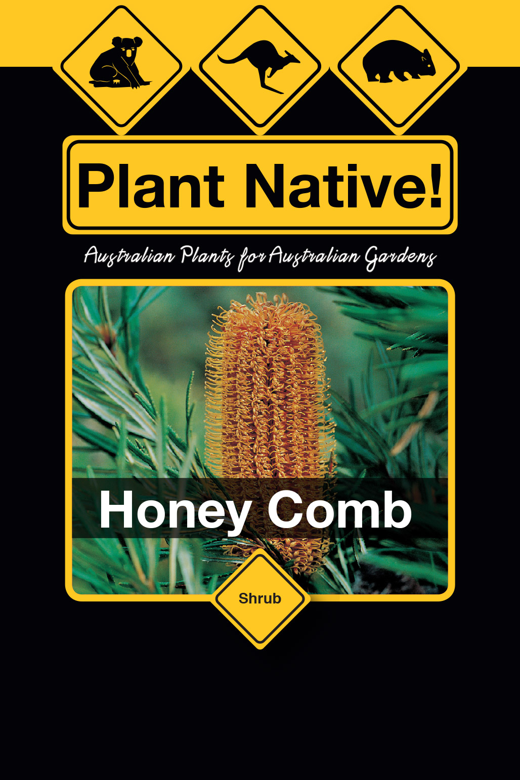 Honey Comb - Plant Native!