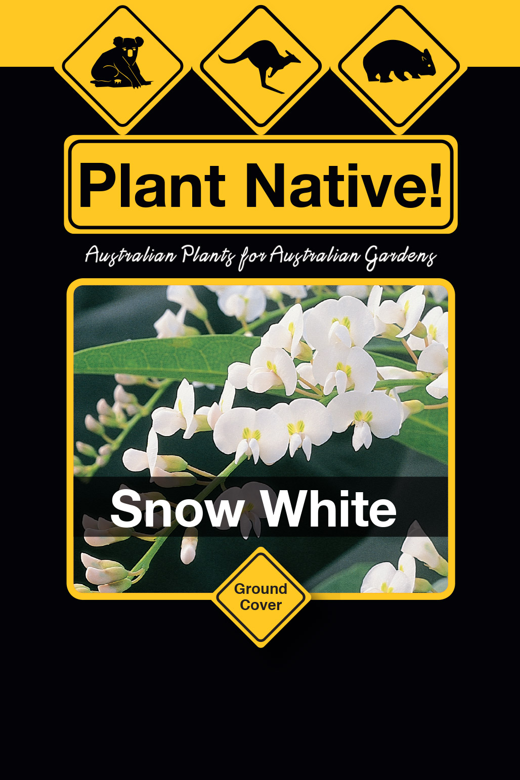 Snow White - Plant Native!