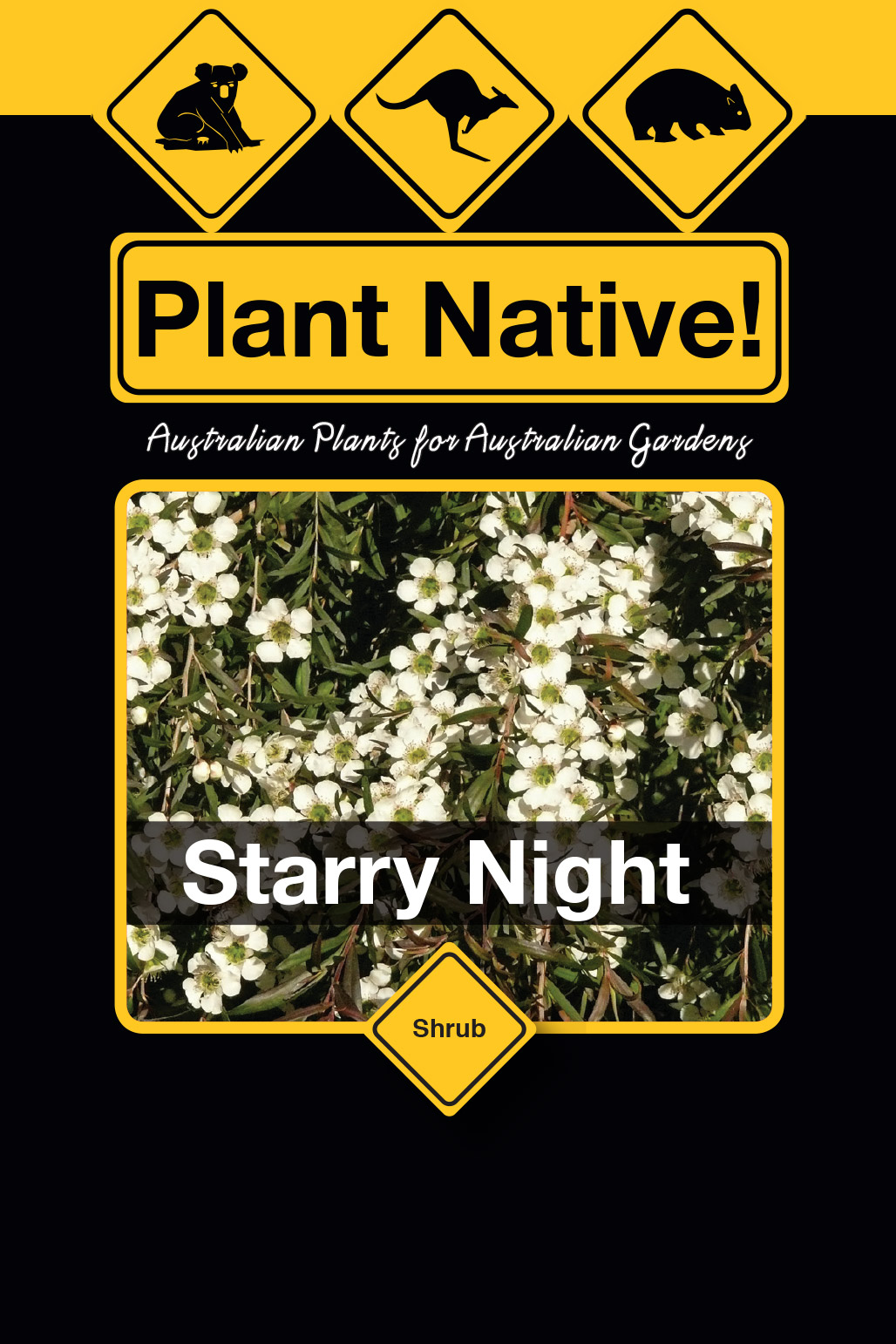 Starry Night - Plant Native!