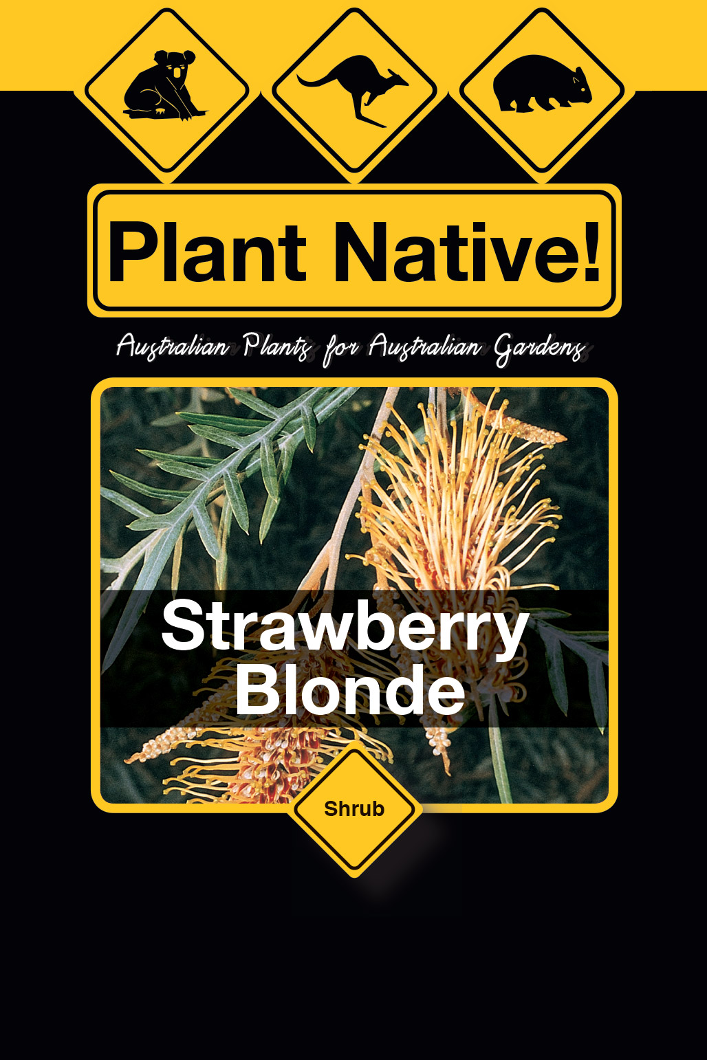 Strawberry Blonde - Plant Native!