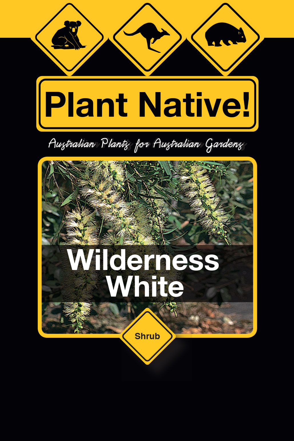 Wilderness White - Plant Native!