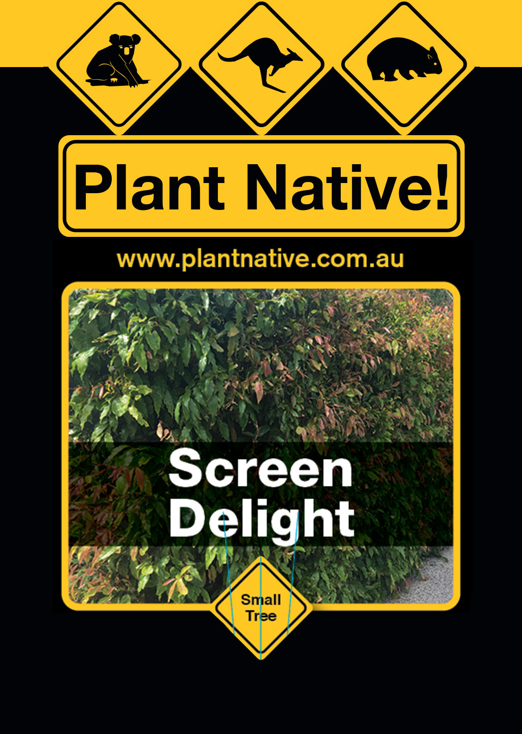 Screen Delight - Plant Native!