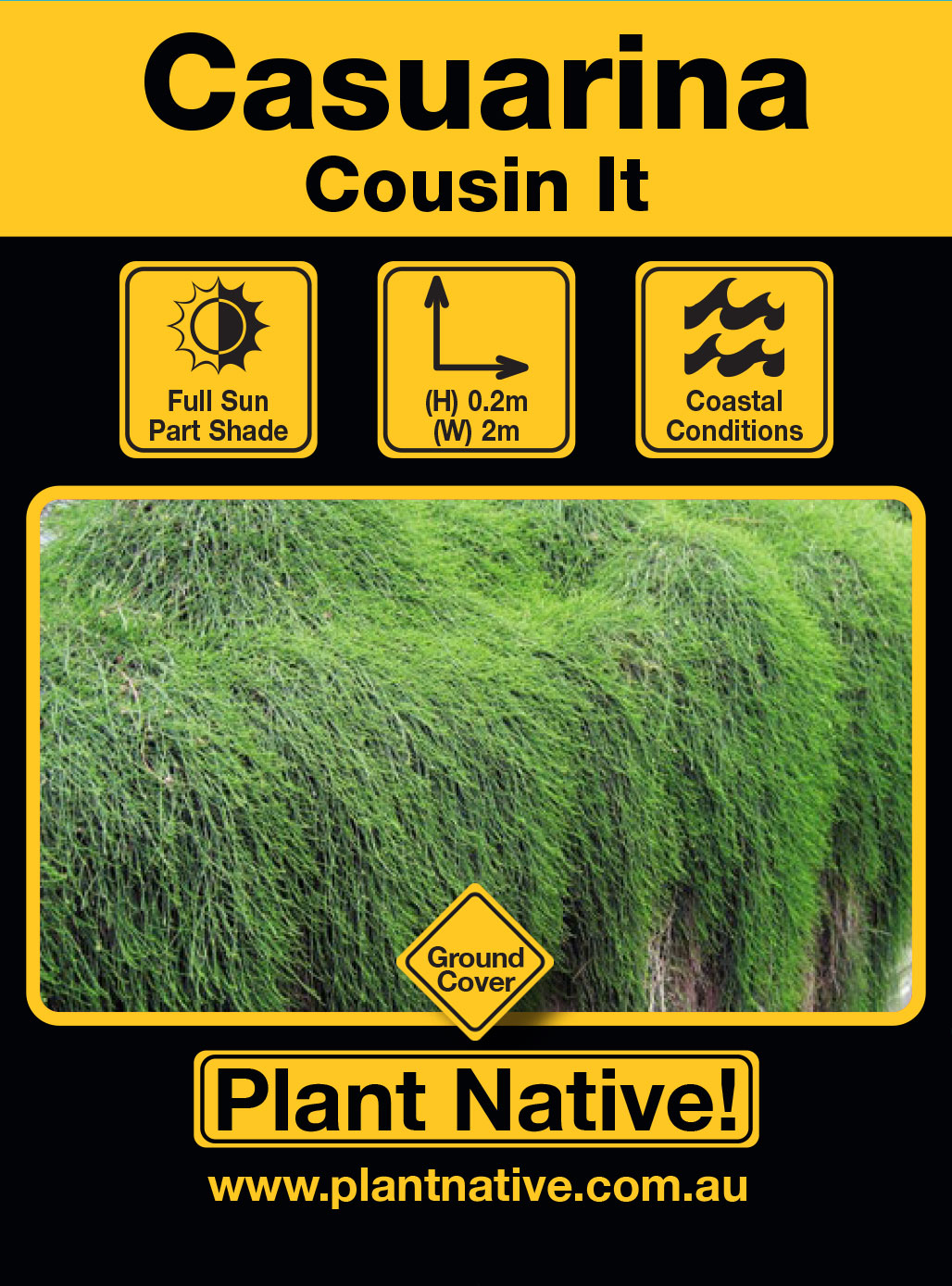 Cousin It - Plant Native!