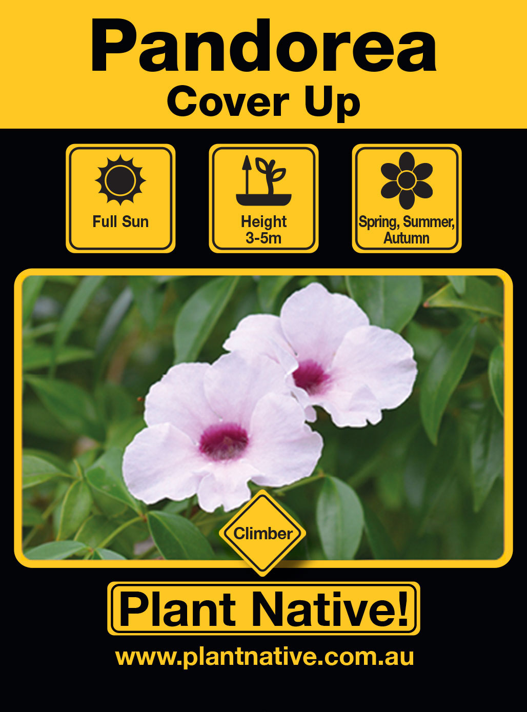 Cover Up - Plant Native!