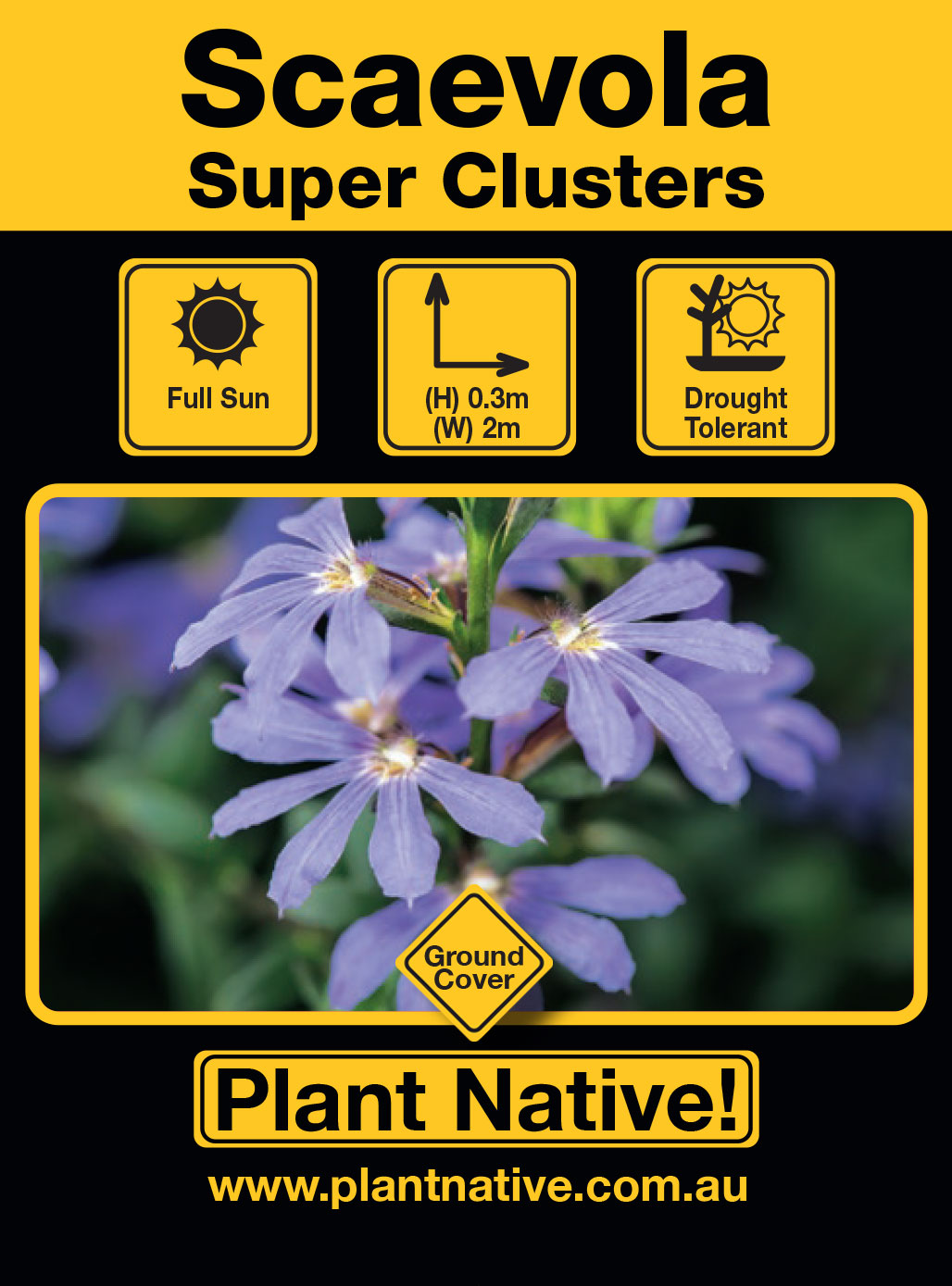 Super Clusters - Plant Native!