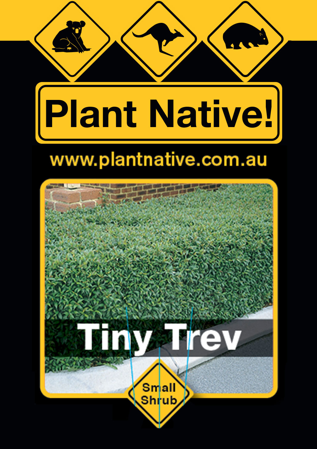 Tiny Trev - Plant Native!