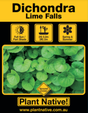 Lime Falls - Plant Native!